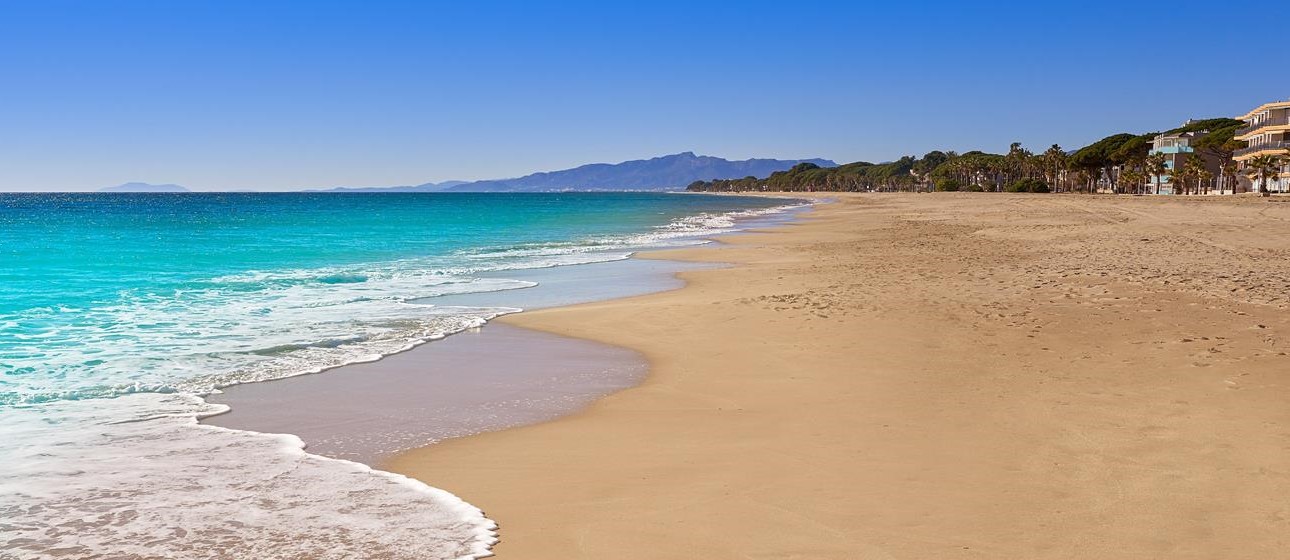 A side view of a plate of figs and berries.